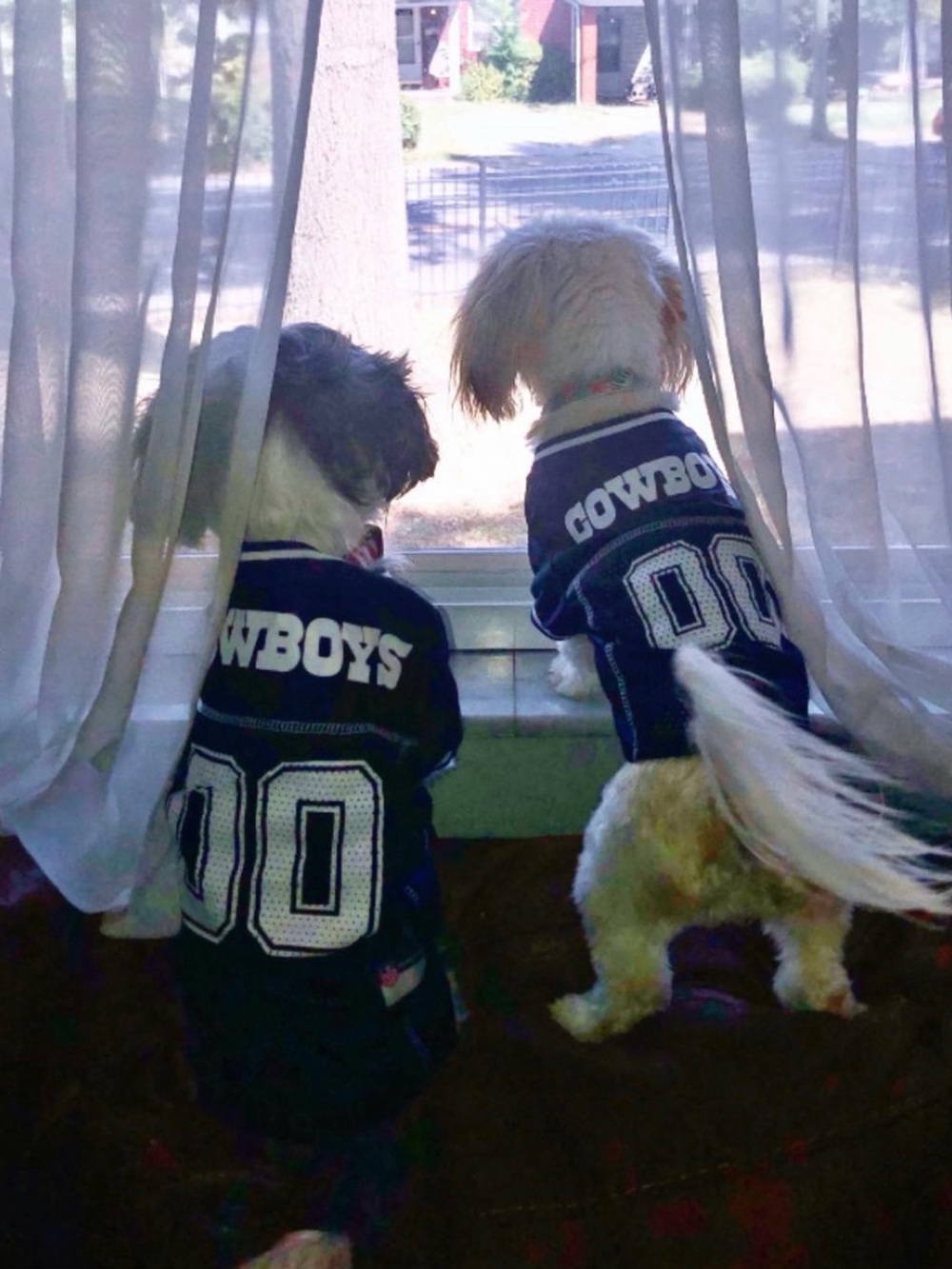 NFL Navy and White Cowboys Pet Jersey - Picture 2 of 3